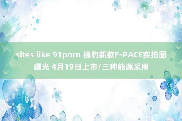 sites like 91porn 捷豹新款F-PACE实拍图曝光 4月19日上市/三种能源采用