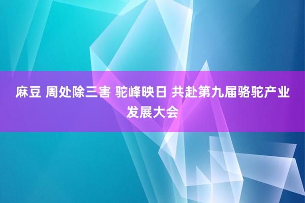 麻豆 周处除三害 驼峰映日 共赴第九届骆驼产业发展大会