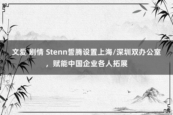 文爱 剧情 Stenn誓腾设置上海/深圳双办公室，赋能中国企业各人拓展