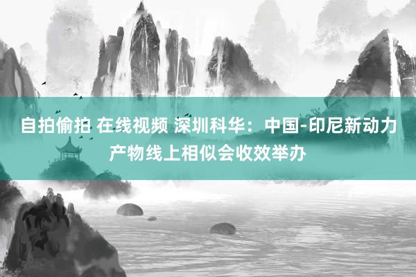 自拍偷拍 在线视频 深圳科华：中国-印尼新动力产物线上相似会收效举办