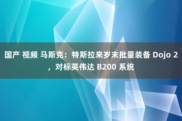 国产 视频 马斯克：特斯拉来岁末批量装备 Dojo 2，对标英伟达 B200 系统