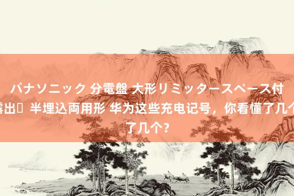 パナソニック 分電盤 大形リミッタースペース付 露出・半埋込両用形 华为这些充电记号，你看懂了几个？