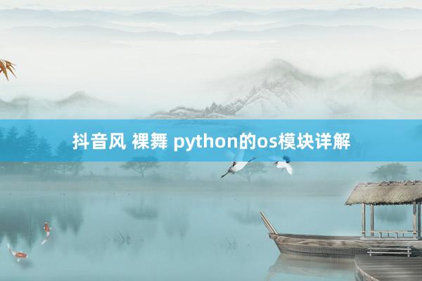 抖音风 裸舞 python的os模块详解