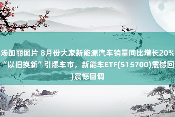 汤加丽图片 8月份大家新能源汽车销量同比增长20%，“以旧换新”引爆车市，新能车ETF(515700)震憾回调