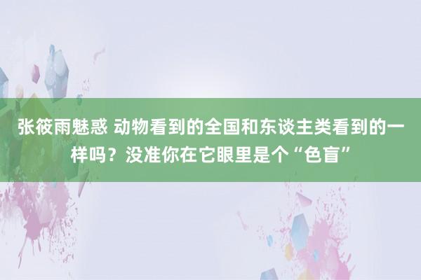 张筱雨魅惑 动物看到的全国和东谈主类看到的一样吗？没准你在它眼里是个“色盲”