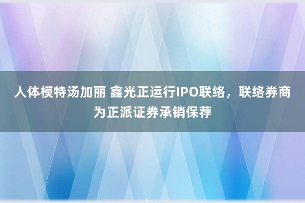 人体模特汤加丽 鑫光正运行IPO联络，联络券商为正派证券承销保荐