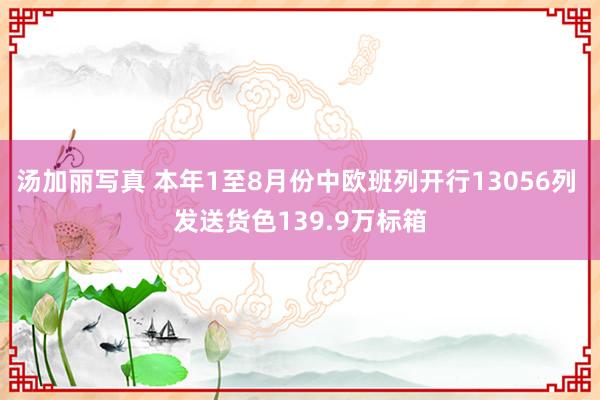 汤加丽写真 本年1至8月份中欧班列开行13056列 发送货色139.9万标箱