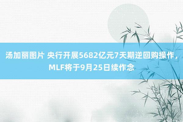 汤加丽图片 央行开展5682亿元7天期逆回购操作，MLF将于9月25日续作念