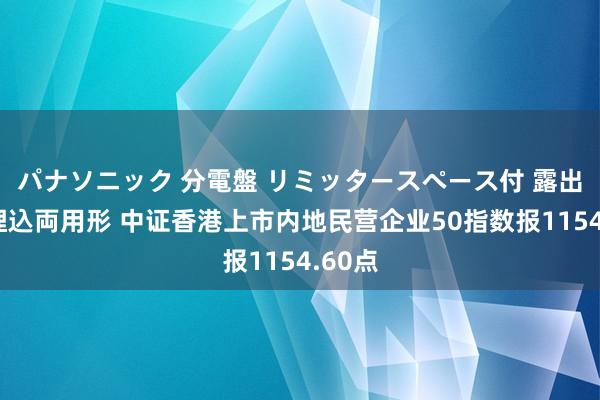 パナソニック 分電盤 リミッタースペース付 露出・半埋込両用形 中证香港上市内地民营企业50指数报1154.60点