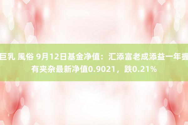 巨乳 風俗 9月12日基金净值：汇添富老成添益一年握有夹杂最新净值0.9021，跌0.21%