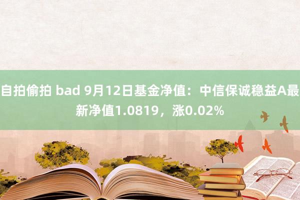 自拍偷拍 bad 9月12日基金净值：中信保诚稳益A最新净值1.0819，涨0.02%