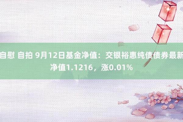 自慰 自拍 9月12日基金净值：交银裕惠纯债债券最新净值1.1216，涨0.01%