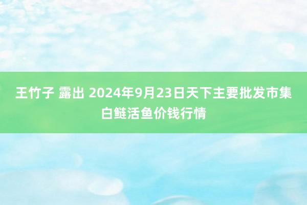 王竹子 露出 2024年9月23日天下主要批发市集白鲢活鱼价钱行情