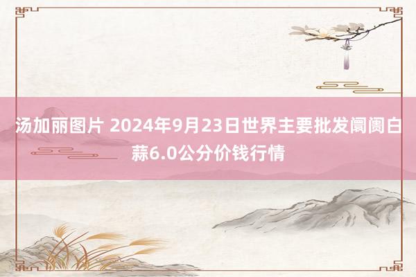 汤加丽图片 2024年9月23日世界主要批发阛阓白蒜6.0公分价钱行情