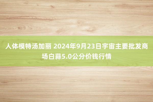 人体模特汤加丽 2024年9月23日宇宙主要批发商场白蒜5.0公分价钱行情