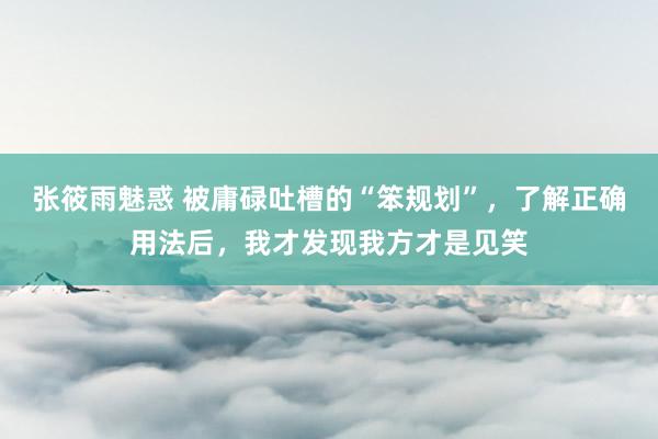 张筱雨魅惑 被庸碌吐槽的“笨规划”，了解正确用法后，我才发现我方才是见笑