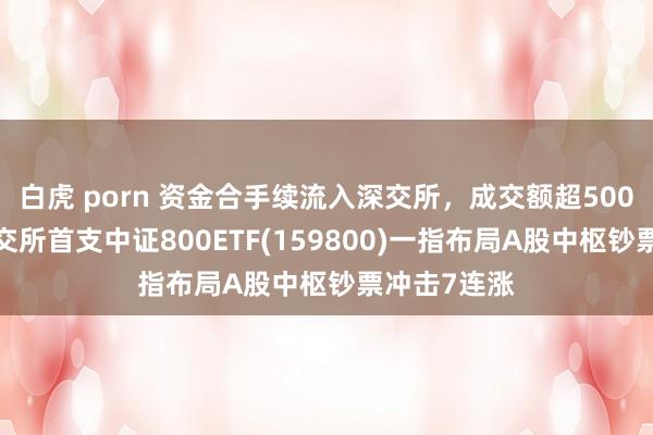 白虎 porn 资金合手续流入深交所，成交额超5000亿元，深交所首支中证800ETF(159800)一指布局A股中枢钞票冲击7连涨