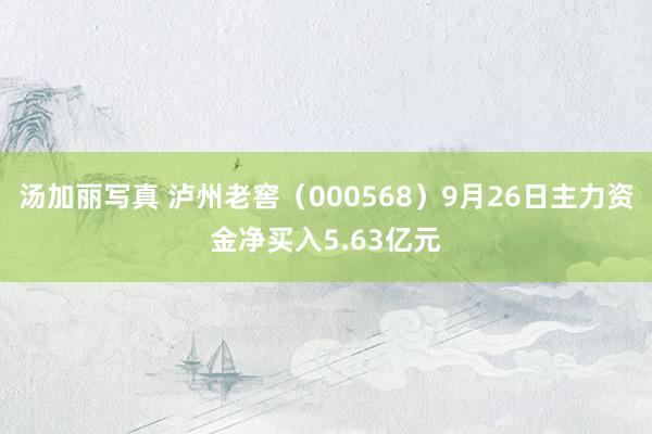 汤加丽写真 泸州老窖（000568）9月26日主力资金净买入5.63亿元