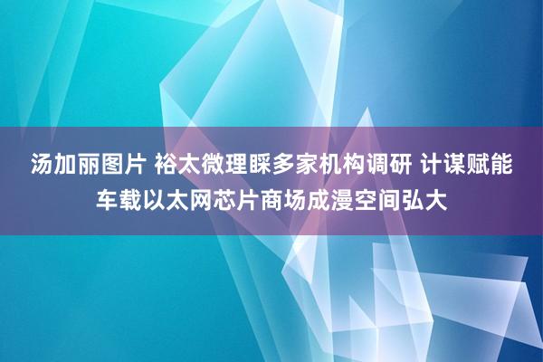 汤加丽图片 裕太微理睬多家机构调研 计谋赋能车载以太网芯片商场成漫空间弘大