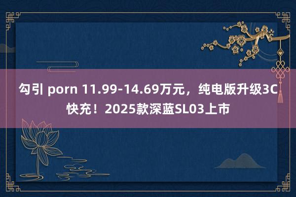 勾引 porn 11.99-14.69万元，纯电版升级3C快充！2025款深蓝SL03上市