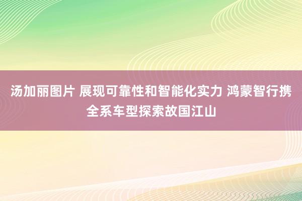 汤加丽图片 展现可靠性和智能化实力 鸿蒙智行携全系车型探索故国江山