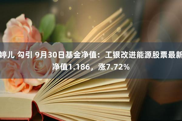 婷儿 勾引 9月30日基金净值：工银改进能源股票最新净值1.186，涨7.72%