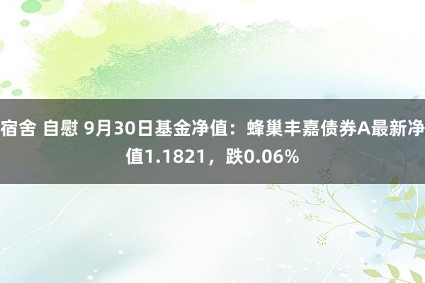 宿舍 自慰 9月30日基金净值：蜂巢丰嘉债券A最新净值1.1821，跌0.06%