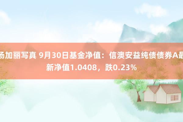 汤加丽写真 9月30日基金净值：信澳安益纯债债券A最新净值1.0408，跌0.23%