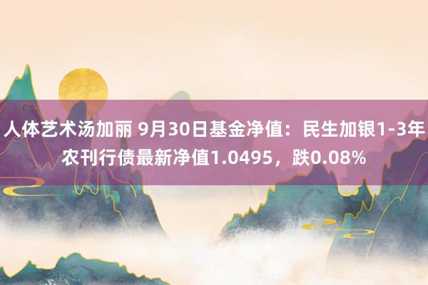 人体艺术汤加丽 9月30日基金净值：民生加银1-3年农刊行债最新净值1.0495，跌0.08%