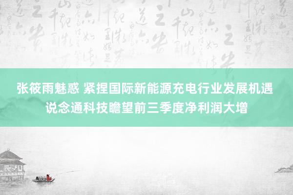 张筱雨魅惑 紧捏国际新能源充电行业发展机遇 说念通科技瞻望前三季度净利润大增