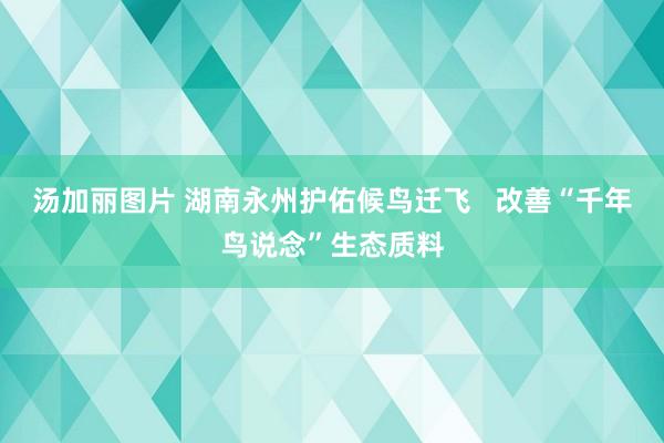 汤加丽图片 湖南永州护佑候鸟迁飞   改善“千年鸟说念”生态质料