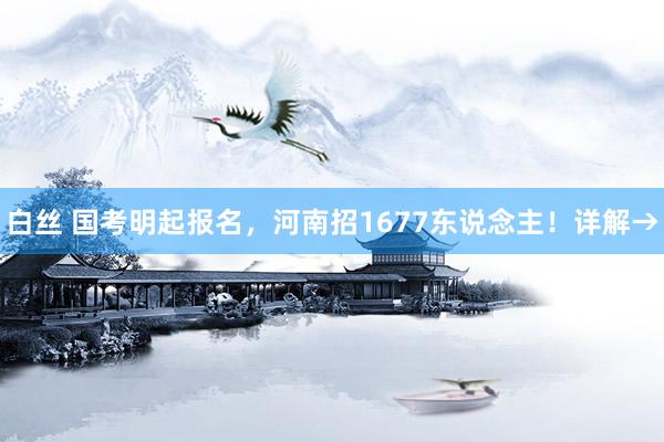 白丝 国考明起报名，河南招1677东说念主！详解→