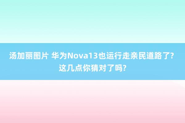 汤加丽图片 华为Nova13也运行走亲民道路了? 这几点你猜对了吗?