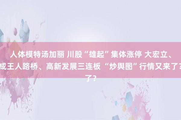 人体模特汤加丽 川股“雄起”集体涨停 大宏立、成王人路桥、高新发展三连板 “炒舆图”行情又来了？