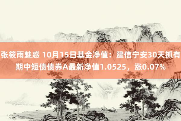 张筱雨魅惑 10月15日基金净值：建信宁安30天抓有期中短债债券A最新净值1.0525，涨0.07%