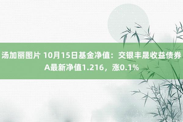 汤加丽图片 10月15日基金净值：交银丰晟收益债券A最新净值1.216，涨0.1%