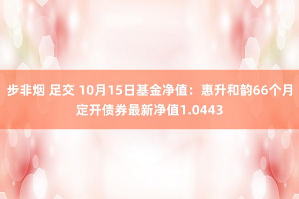 步非烟 足交 10月15日基金净值：惠升和韵66个月定开债券最新净值1.0443