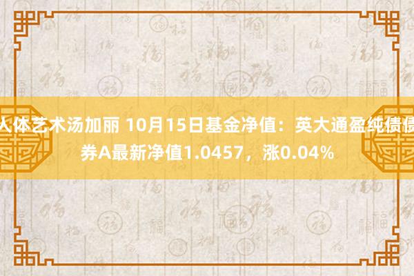 人体艺术汤加丽 10月15日基金净值：英大通盈纯债债券A最新净值1.0457，涨0.04%