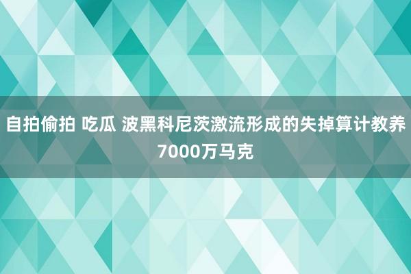 自拍偷拍 吃瓜 波黑科尼茨激流形成的失掉算计教养7000万马克