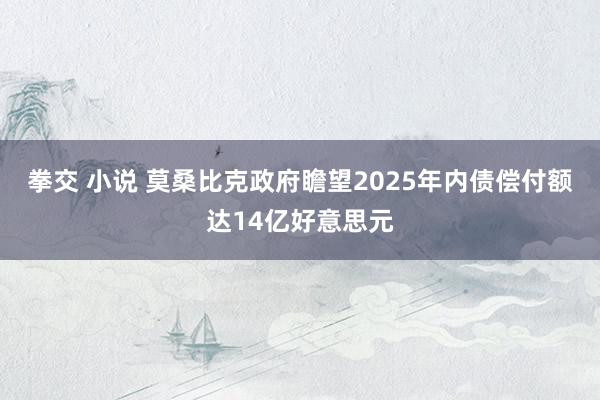 拳交 小说 莫桑比克政府瞻望2025年内债偿付额达14亿好意思元