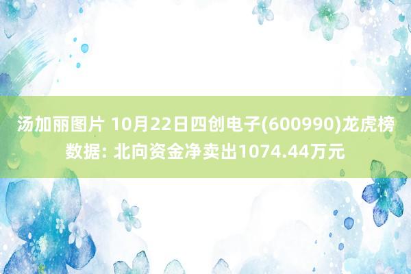 汤加丽图片 10月22日四创电子(600990)龙虎榜数据: 北向资金净卖出1074.44万元