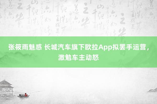 张筱雨魅惑 长城汽车旗下欧拉App拟罢手运营，激勉车主动怒