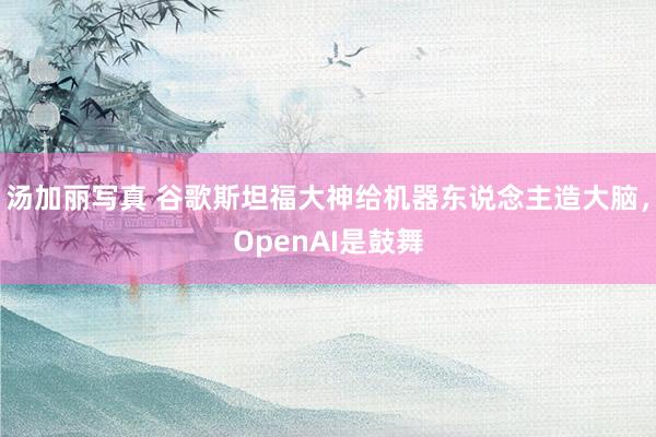 汤加丽写真 谷歌斯坦福大神给机器东说念主造大脑，OpenAI是鼓舞