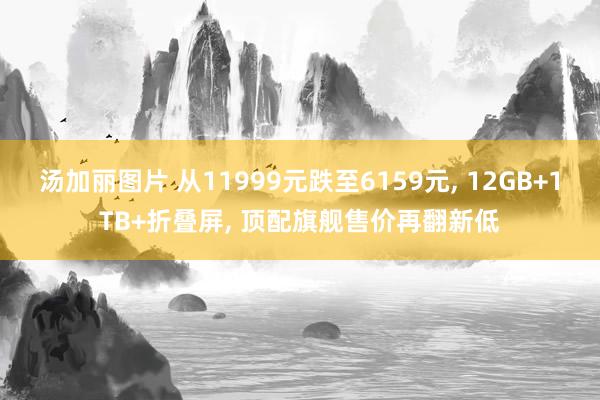 汤加丽图片 从11999元跌至6159元， 12GB+1TB+折叠屏， 顶配旗舰售价再翻新低