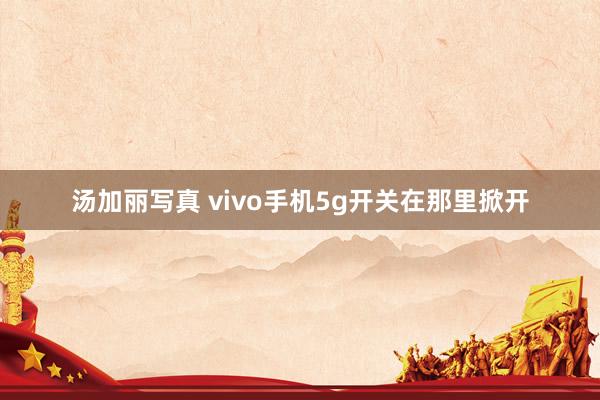 汤加丽写真 vivo手机5g开关在那里掀开