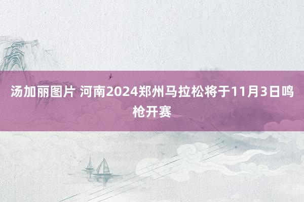 汤加丽图片 河南2024郑州马拉松将于11月3日鸣枪开赛