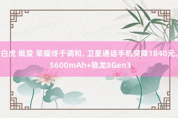 白虎 做爱 荣耀终于调和， 卫星通话手机突降1840元， 5600mAh+骁龙8Gen3