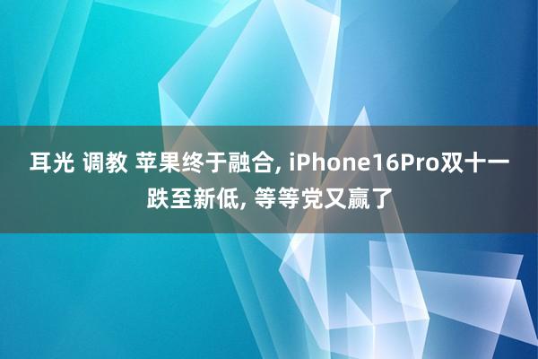 耳光 调教 苹果终于融合， iPhone16Pro双十一跌至新低， 等等党又赢了