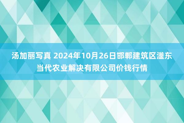 汤加丽写真 2024年10月26日邯郸建筑区滏东当代农业解决有限公司价钱行情