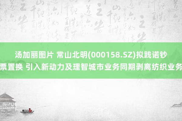 汤加丽图片 常山北明(000158.SZ)拟践诺钞票置换 引入新动力及理智城市业务同期剥离纺织业务